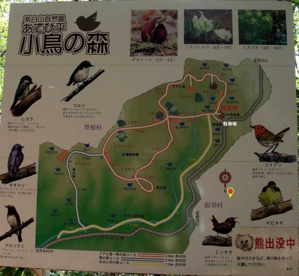 茶臼山自然園ハイキングコース
