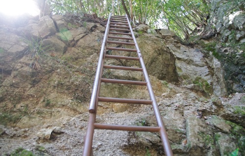 宇賀溪鉄はしごの風景